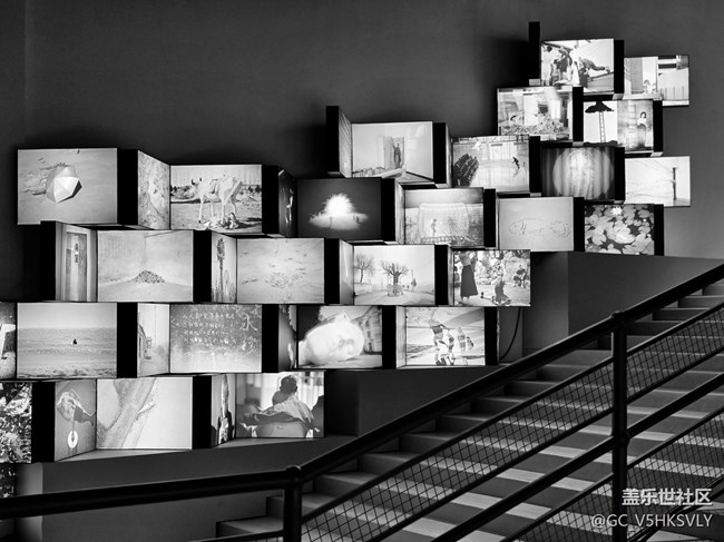 【苏河皓斯线下摄影活动】+黑白光影