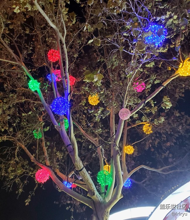 #新年伊始——迎新春