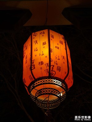 【新年好】+夜晚游园