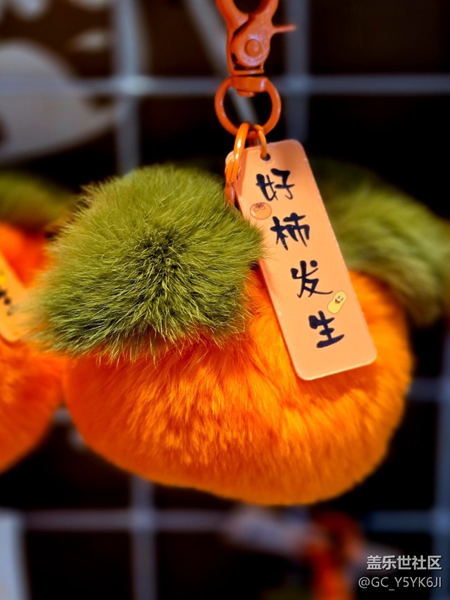 #新年伊始——随拍