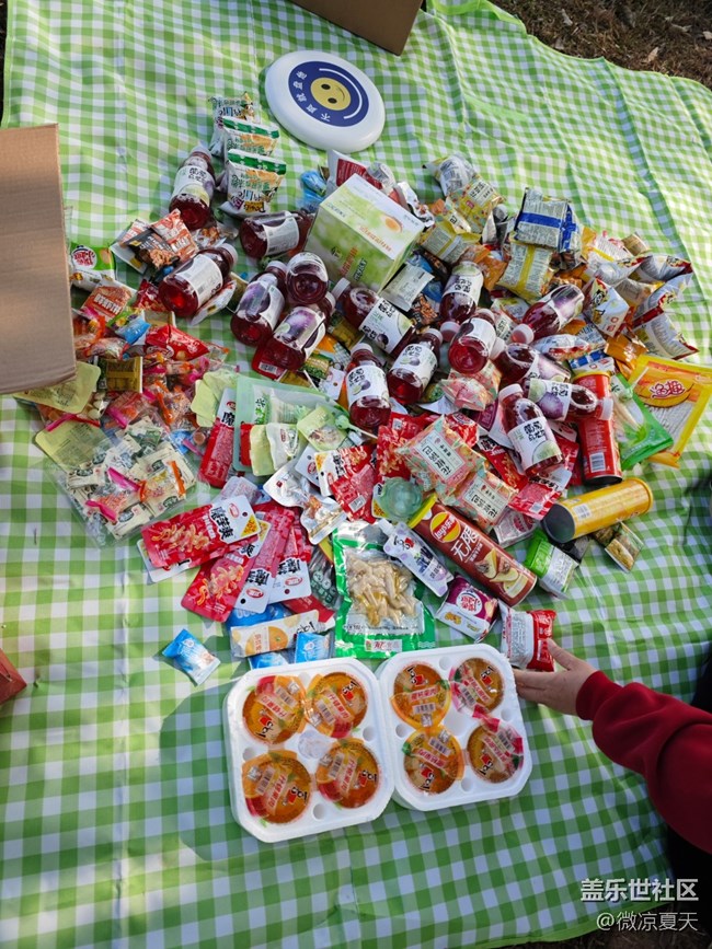 【活动回顾】猫猫勇闯陌上花