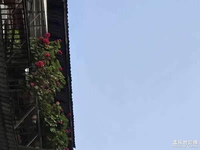 【新年好】+璀璨时光