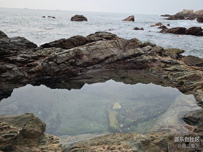 【2025你好】请多关照