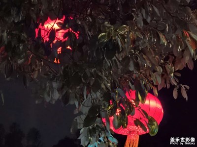 【新年好】+大红灯笼高高挂