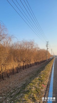 【冬日即景】河边冬日
