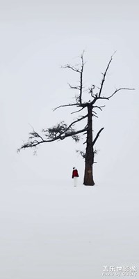 冬景