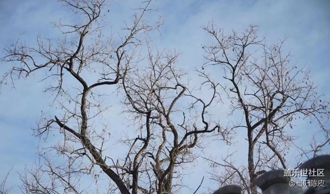 【2024难忘旅行】北京记忆