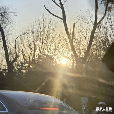 迎着阳光