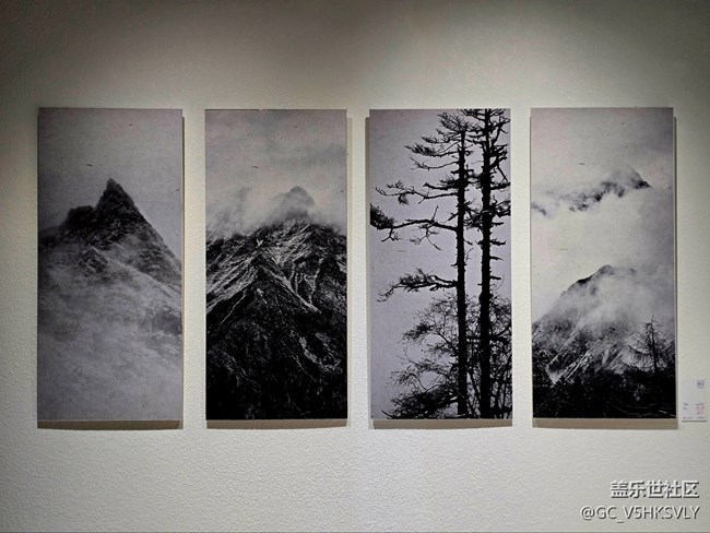 #新年伊始——看展