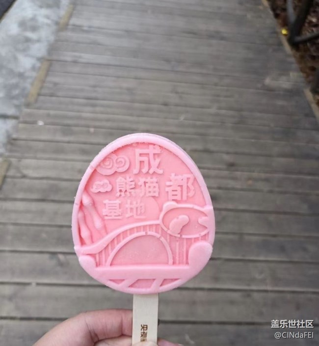 【2024难忘旅行】看熊猫
