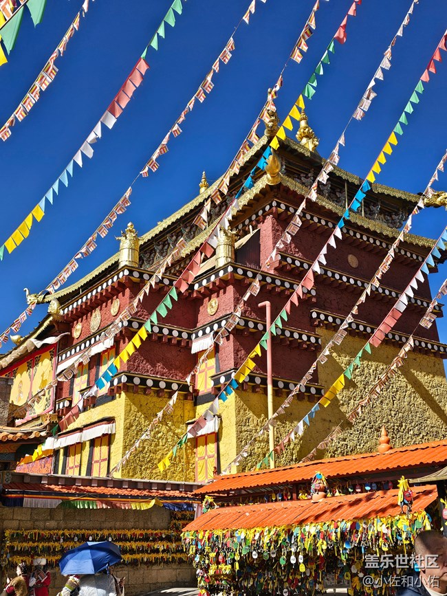 【2024难忘旅行】遇到了最好的香格里拉