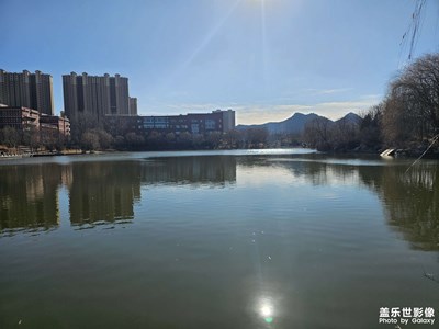 【冬日即景】冬日的校园