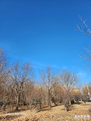 冬日即景 景色随拍