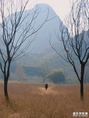 冬日走进山野