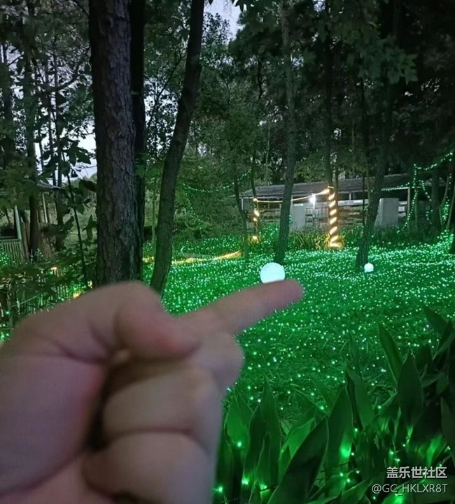 【2024难忘旅行】看彩灯