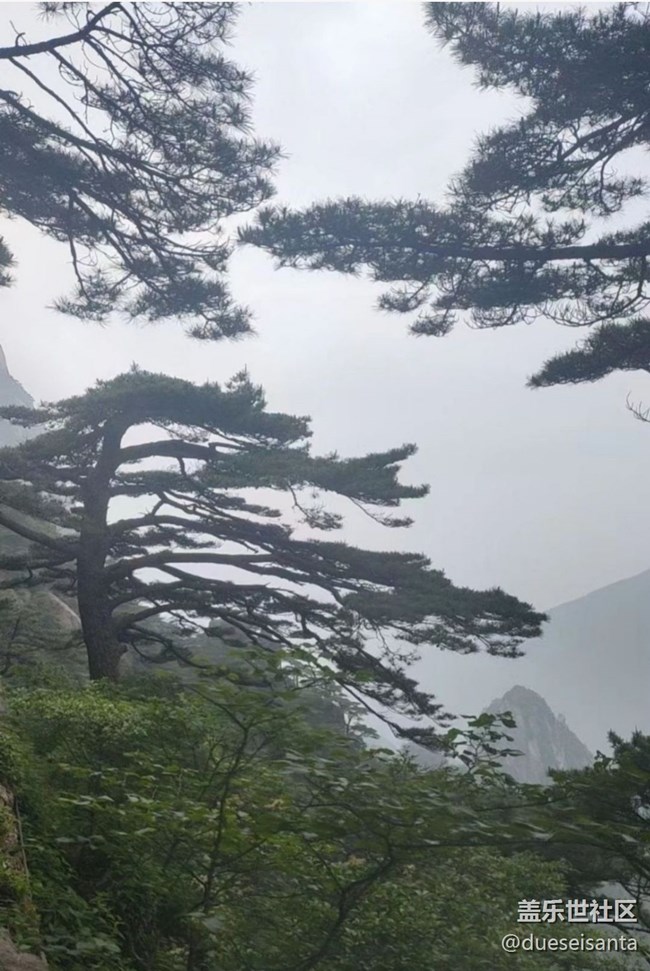 【2024难忘旅行】黄山行