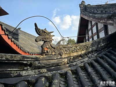 【冬日即景】+午后古寺的参详