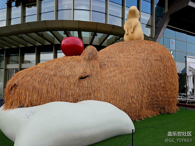 【韩国街线下摄影活动】+街拍