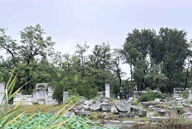 【2024难忘旅行】游览圆明园