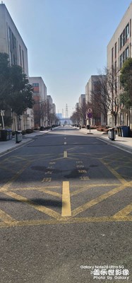 【冬日即景】随拍