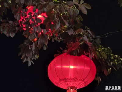 【冬日即景】+喜庆的颜色