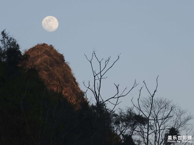 【冬日即景】圆月伴我归