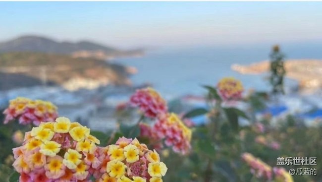 【2024难忘旅行】看海