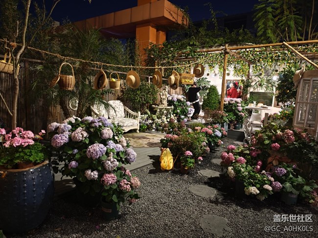 【活动回顾】豆伴花园