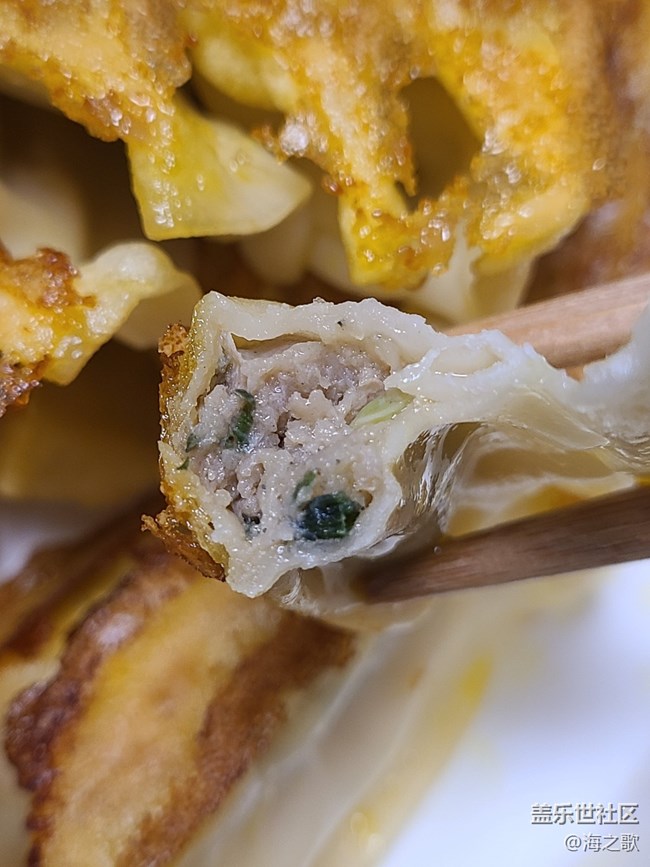 【有滋有味】煎饺