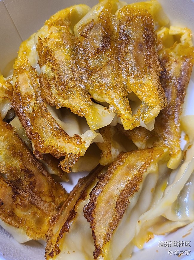 【有滋有味】煎饺