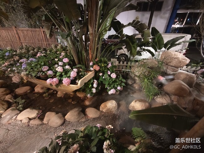 【活动回顾】豆伴花园