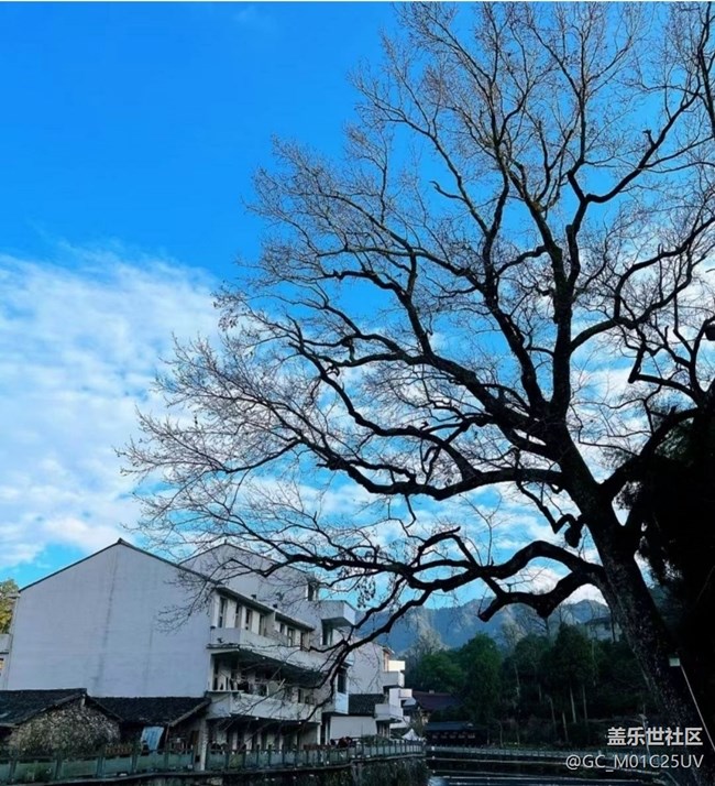 【2024难忘旅行】乡村