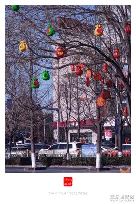 盼春来