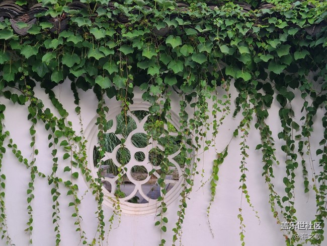 【2024难忘旅行】夏日记忆