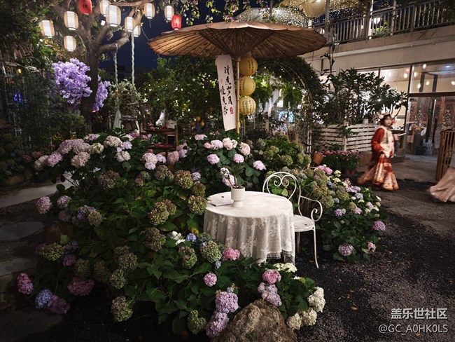 【活动回顾】豆伴花园