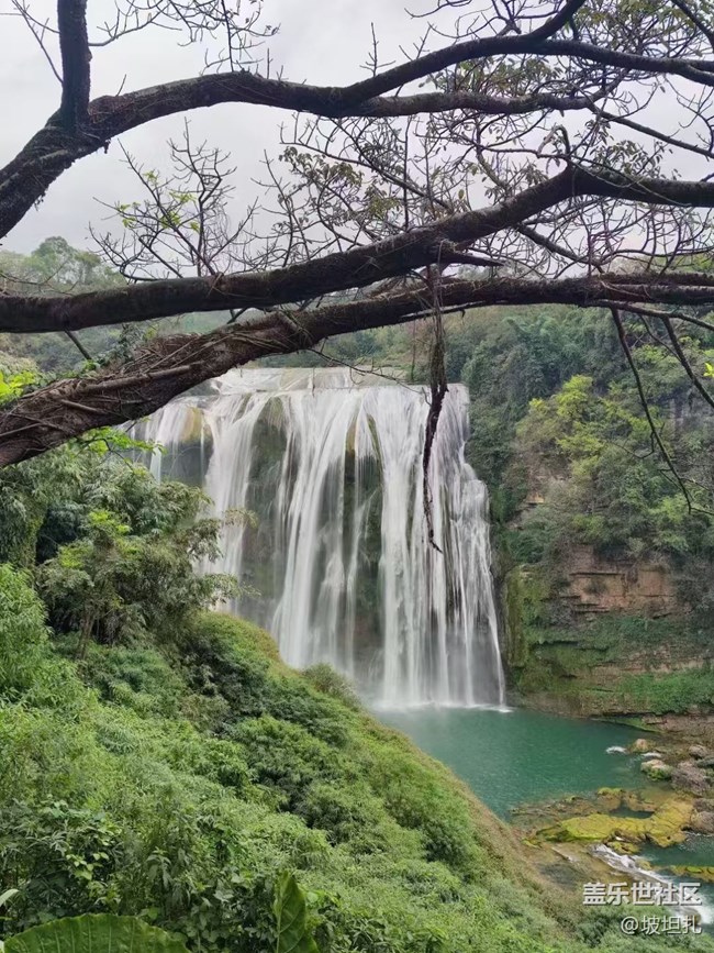 【2024难忘旅行】黄果树