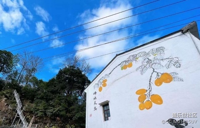 【2024难忘旅行】乡村