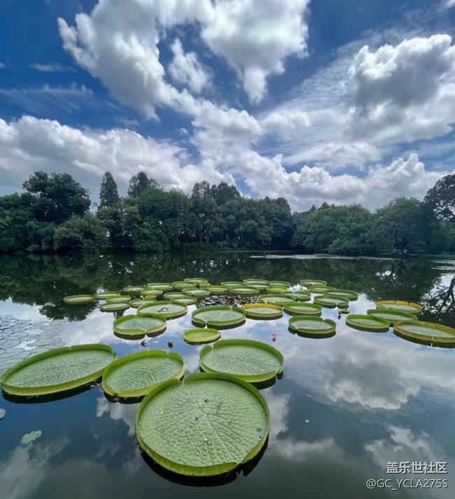 【2024难忘旅行】暑假西湖游