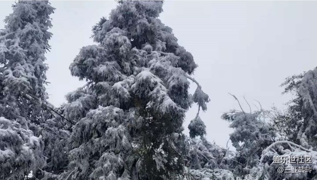 【2025你好】雪景
