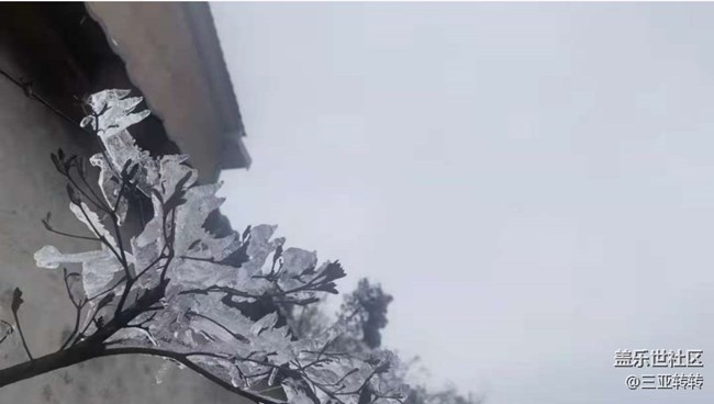 【2025你好】雪景