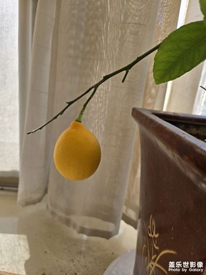 【城市的温度】+城市中我家的阳台