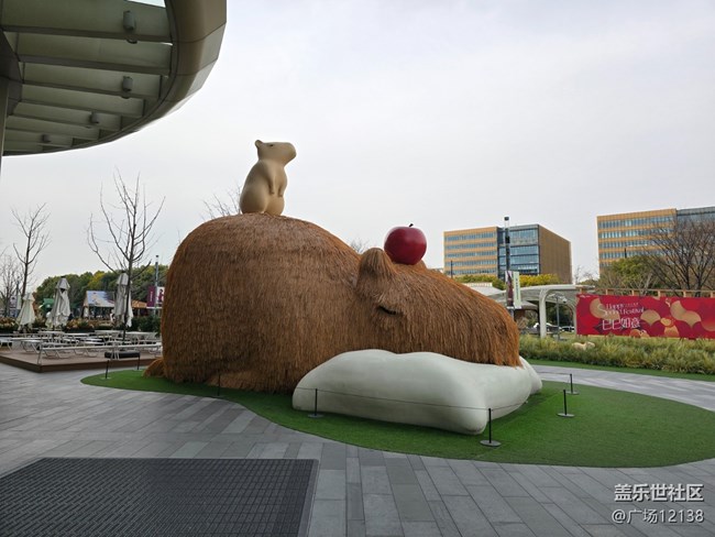 【韩国街线下摄影活动】+回顾贴