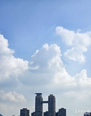 【城市的温度】城温蓝柔