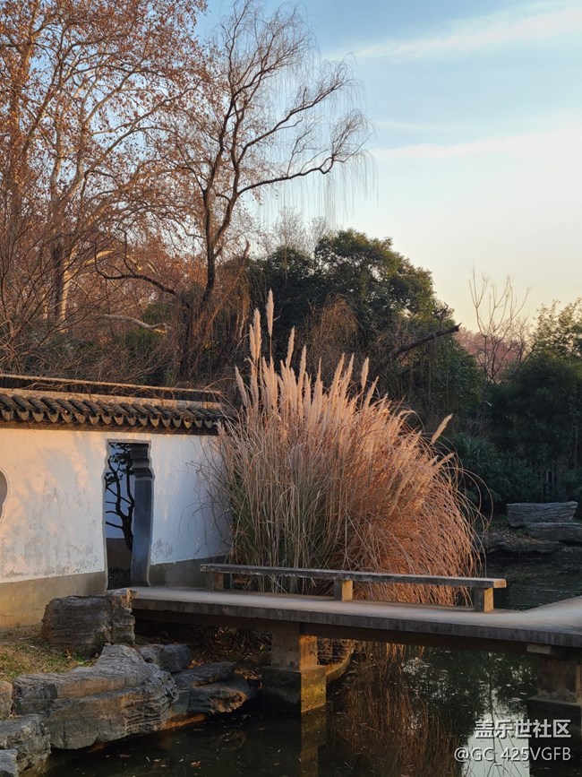 【冬日静谧】静谧小院