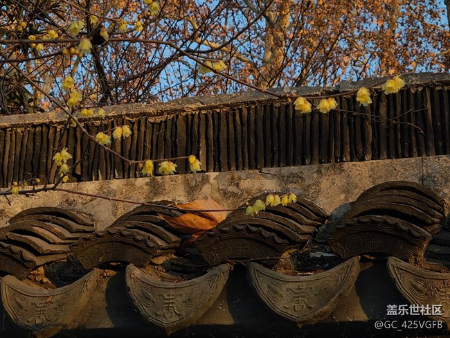 【冬日静谧】静谧小院