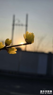 随手拍