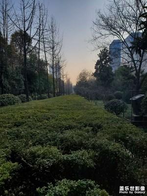 【城市的温度】温暖午后
