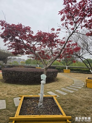 【回家路上】+路上的风景