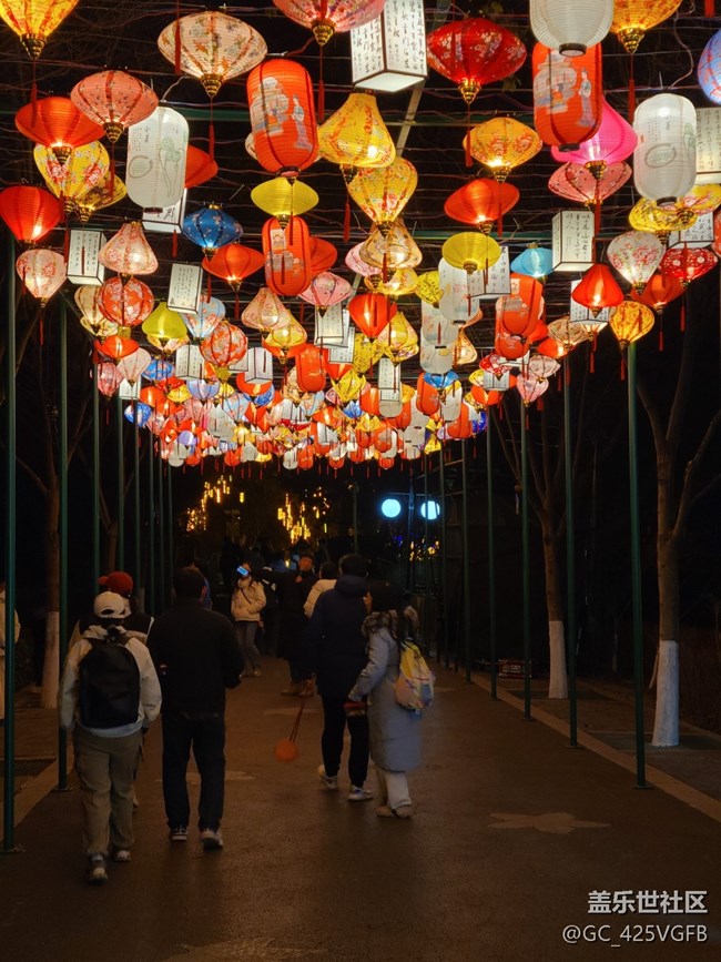 #新年伊始——美丽花灯