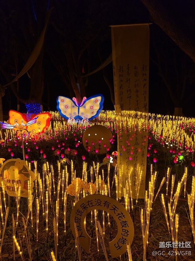 #新年伊始——美丽花灯